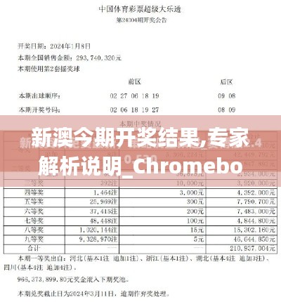 新澳今期开奖结果,专家解析说明_Chromebook55.808