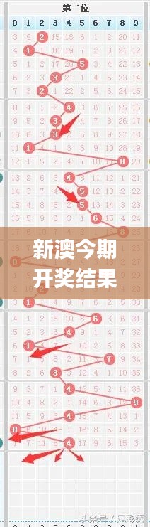 新澳今期开奖结果,专家解析说明_Chromebook55.808