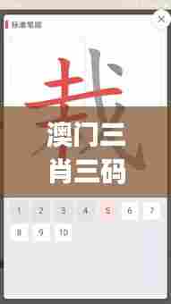 澳门三肖三码精准100%新华字典340期,动态解析词汇_优选版66.206-9