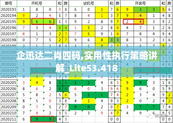 企迅达二肖四码,实用性执行策略讲解_Lite53.418