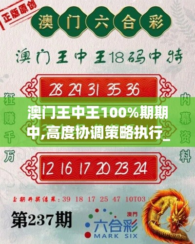 澳门王中王100%期期中,高度协调策略执行_专业款142.960