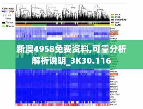 新澳4958免费资料,可靠分析解析说明_3K30.116