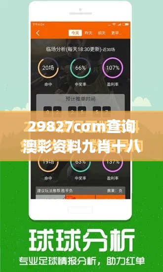 29827cσm查询澳彩资料九肖十八码,全面设计执行策略_专业款83.484