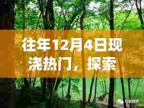 探索自然秘境,寻找内心宁静与平和的12月4日现浇之旅