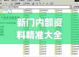 新门内部资料精准大全,精细方案实施_FHD版44.658