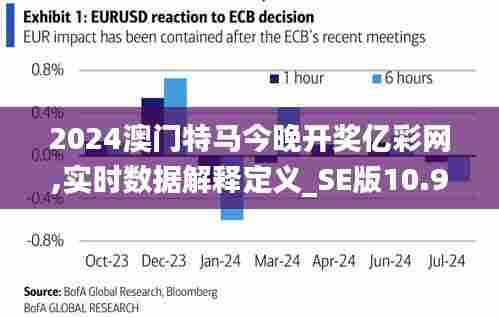 2024澳门特马今晚开奖亿彩网,实时数据解释定义_SE版10.902
