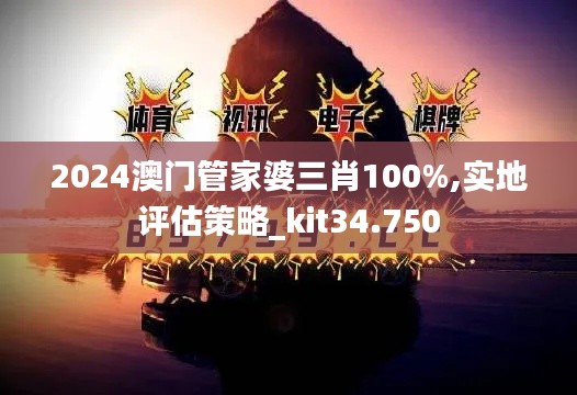 2024澳门管家婆三肖100%,实地评估策略_kit34.750
