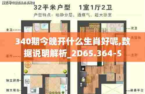340期今晚开什么生肖好呢,数据说明解析_2D65.364-5