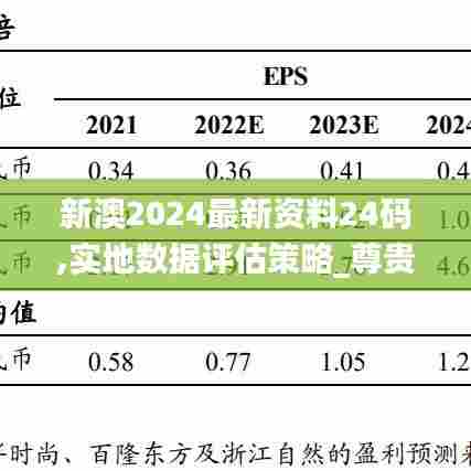 新澳2024最新资料24码,实地数据评估策略_尊贵版22.231