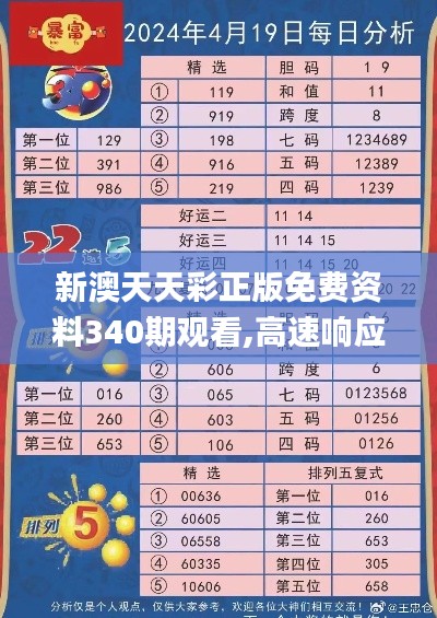 新澳天天彩正版免费资料340期观看,高速响应策略_复古版91.151-2