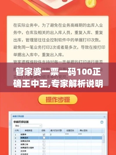 管家婆一票一码100正确王中王,专家解析说明_2DM96.606