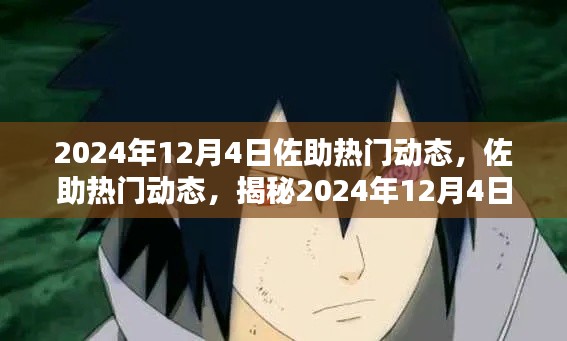 揭秘佐助热门动态，2024年12月4日三大看点揭晓