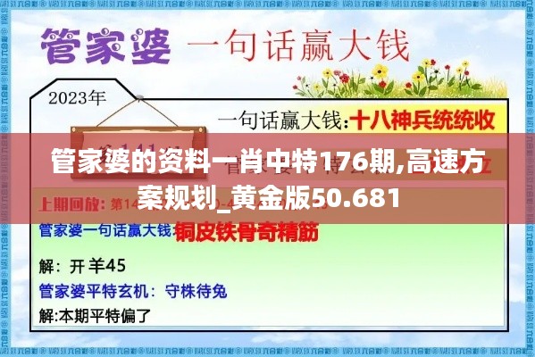 管家婆的资料一肖中特176期,高速方案规划_黄金版50.681