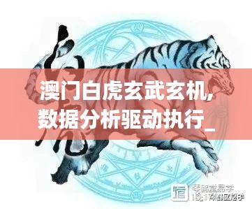 澳门白虎玄武玄机,数据分析驱动执行_尊贵款97.780