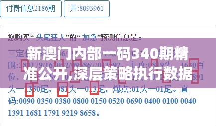 新澳门内部一码340期精准公开,深层策略执行数据_S137.445-1