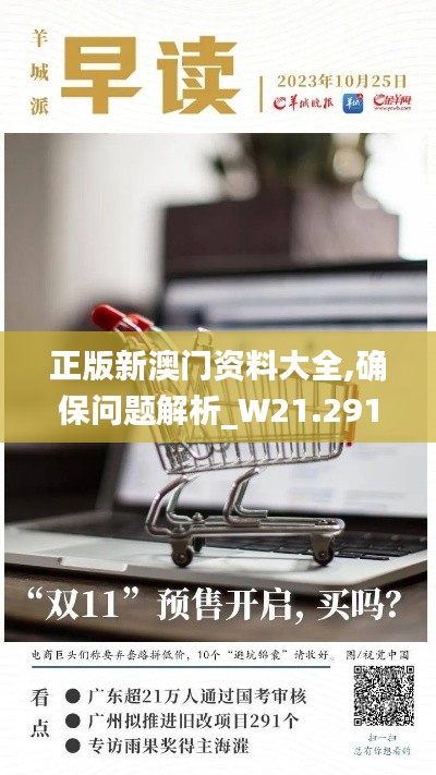 正版新澳门资料大全,确保问题解析_W21.291