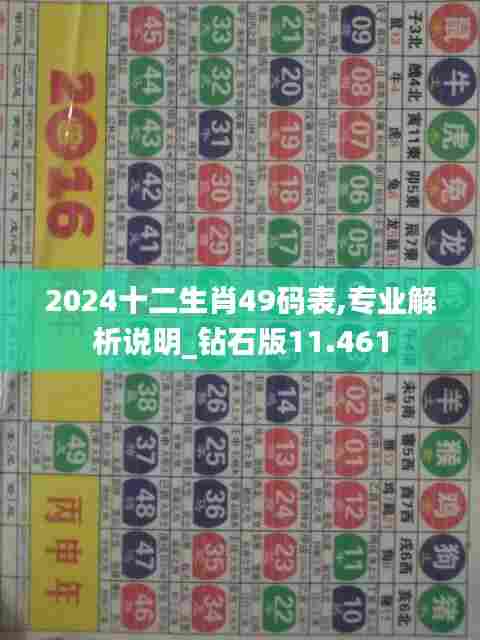2024十二生肖49码表,专业解析说明_钻石版11.461