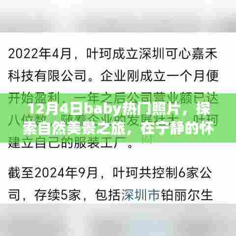十二月四日Baby热门照片之旅,自然美景探索与内心平和的寻找
