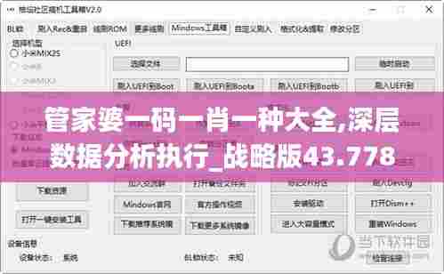 管家婆一码一肖一种大全,深层数据分析执行_战略版43.778