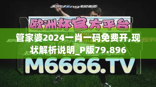 管家婆2024一肖一码免费开,现状解析说明_P版79.896