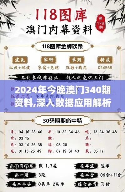 2024年今晚澳门340期资料,深入数据应用解析_Pixel148.617-3