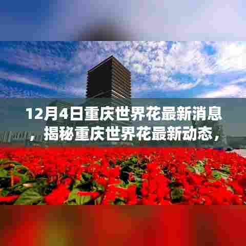 12月4日重庆世界花最新消息,揭秘重庆世界花最新动态,一场盛大的花卉盛宴即将在12月4日绽放!