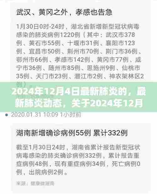 2024年12月4日最新肺炎动态深度科普与要点解析