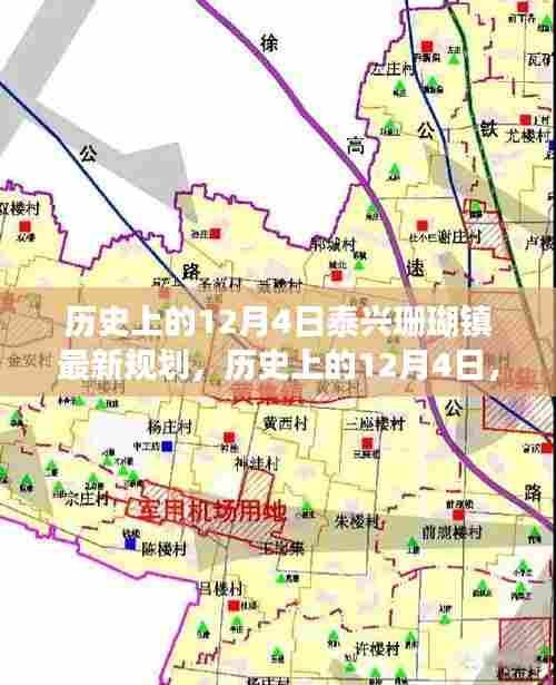 揭秘泰兴珊瑚镇规划新篇章，历史上的12月4日最新规划揭秘