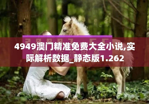 4949澳门精准免费大全小说,实际解析数据_静态版1.262