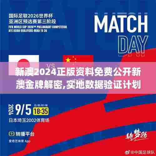新澳2024正版资料免费公开新澳金牌解密,实地数据验证计划_升级版10.516