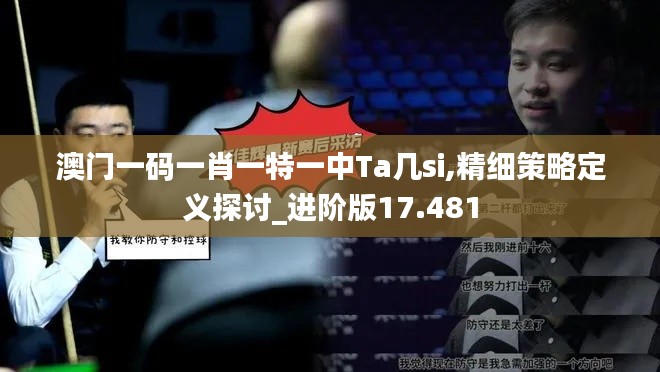 澳门一码一肖一特一中Ta几si,精细策略定义探讨_进阶版17.481