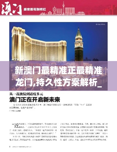 新澳门最精准正最精准龙门,持久性方案解析_8DM8.289