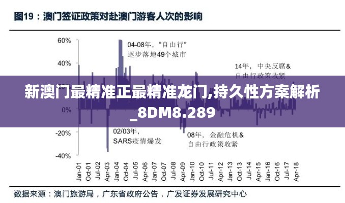 新澳门最精准正最精准龙门,持久性方案解析_8DM8.289