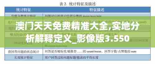 澳门天天免费精准大全,实地分析解释定义_影像版3.550