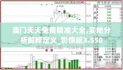 澳门天天免费精准大全,实地分析解释定义_影像版3.550