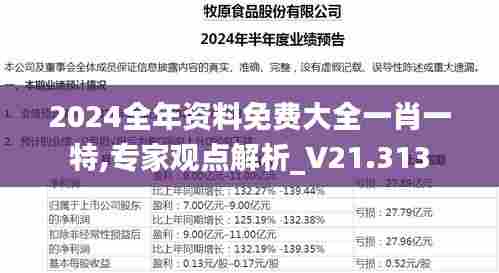 2024全年资料免费大全一肖一特,专家观点解析_V21.313