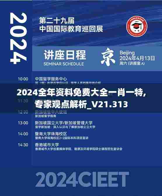 2024全年资料免费大全一肖一特,专家观点解析_V21.313