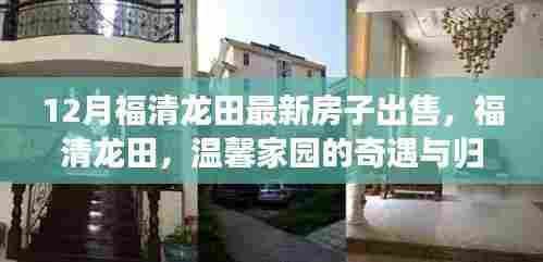 福清龙田温馨家园,最新房源出售,探寻奇遇与归宿