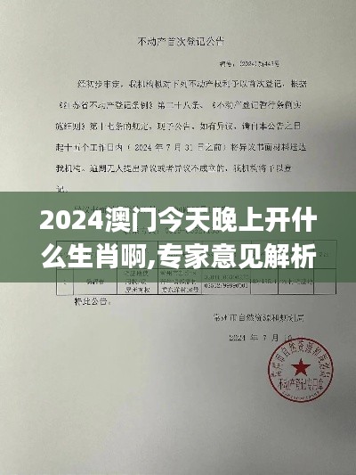 2024澳门今天晚上开什么生肖啊,专家意见解析_Prestige6.443