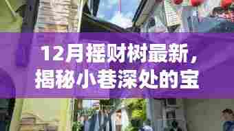 揭秘小巷深处的宝藏，摇财树特色小店十二月最新魅力探寻