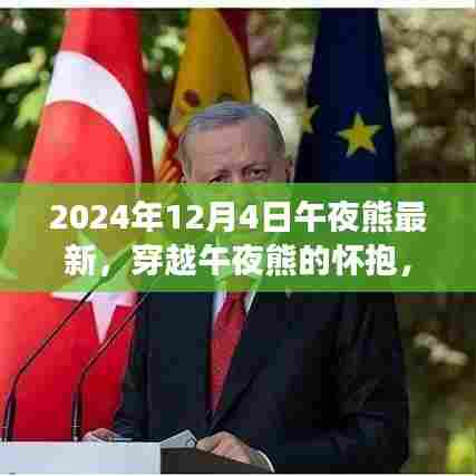 穿越午夜熊的怀抱，内心平静的奇妙之旅