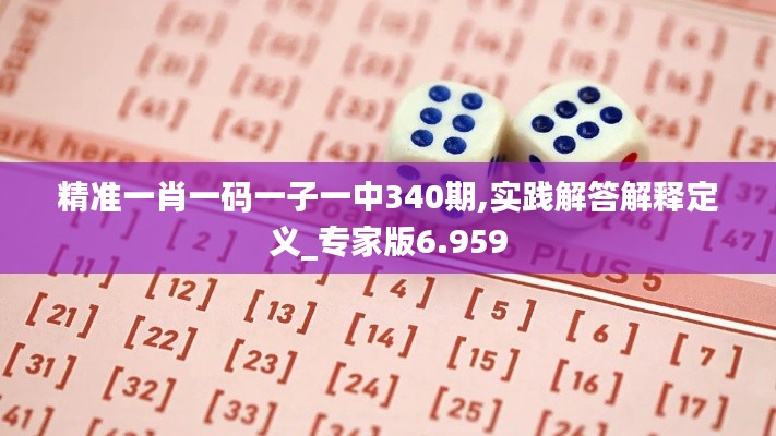 精准一肖一码一子一中340期,实践解答解释定义_专家版6.959