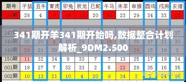 341期开羊341期开始吗,数据整合计划解析_9DM2.500