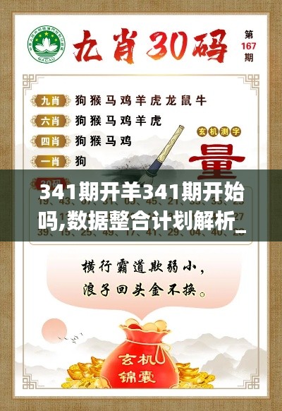341期开羊341期开始吗,数据整合计划解析_9DM2.500