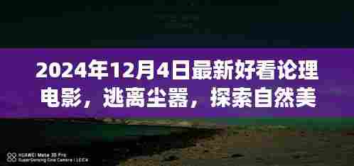 心灵之旅,逃离尘嚣的论理电影盛宴