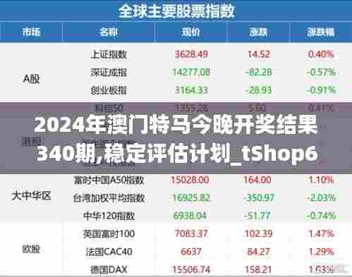 2024年澳门特马今晚开奖结果340期,稳定评估计划_tShop6.258