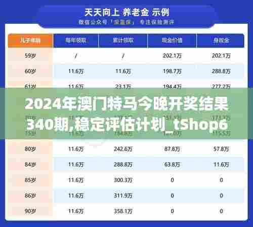 2024年澳门特马今晚开奖结果340期,稳定评估计划_tShop6.258