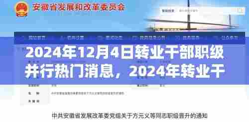 2024年转业干部职级并行实施指南与详解