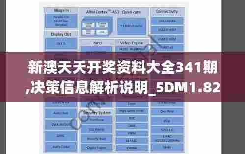 新澳天天开奖资料大全341期,决策信息解析说明_5DM1.829