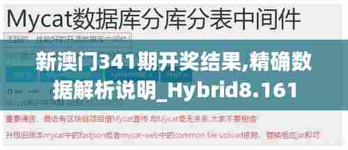 新澳门341期开奖结果,精确数据解析说明_Hybrid8.161